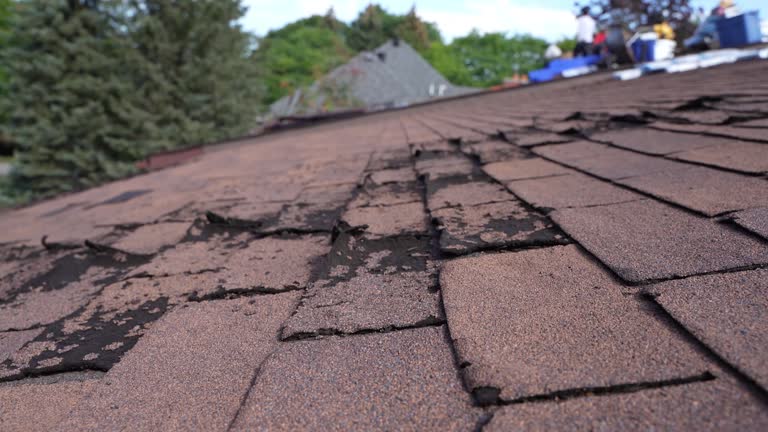 Best Commercial Roofing Services  in Arlington Heights, IL