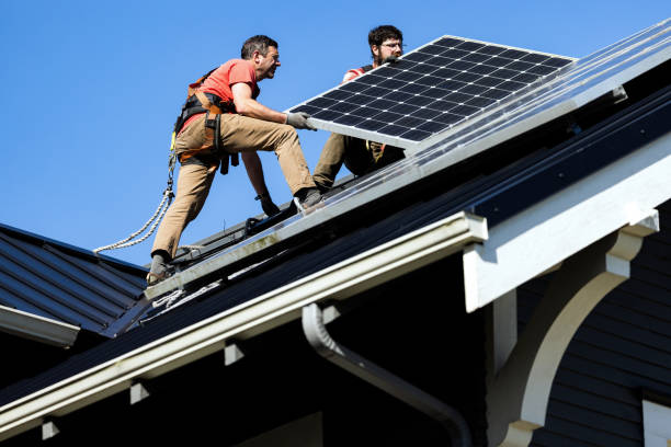 Best Roof Moss and Algae Removal  in Arlington Heights, IL